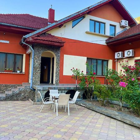 Pensiunea Orhideea Băile Herculane Εξωτερικό φωτογραφία