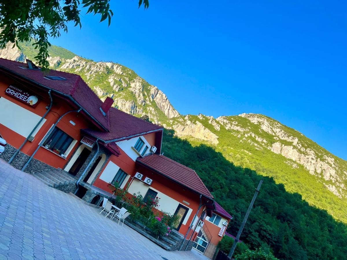Pensiunea Orhideea Băile Herculane Εξωτερικό φωτογραφία